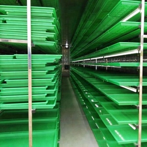 ระบบปลูกหญ้าข้าวบาร์เลย์แบบไฮโดรโปนิกส์ HP-1500H สำหรับปศุสัตว์ แพะ แกะ กระต่าย และสัตว์เลี้ยงอื่นๆ สำหรับการเลี้ยงสัตว์ในฟาร์ม - Product Image 4