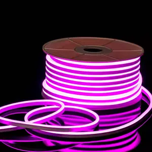 Vente en gros séparé néon flex bande lumineuse à led et silicone Smd2835 Bande de décoration extérieure éclairage corps en cuivre RGB lampe au néon