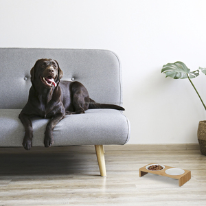 बिल्लियों और छोटे कुत्तों के लिए ऊंचा बांस का कटोरा स्टैंड फीडर दो सिरेमिक कटोरे में उठाया गया कुत्ता बिल्ली का भोजन और पानी का कटोरा शामिल है। - Product Image 6