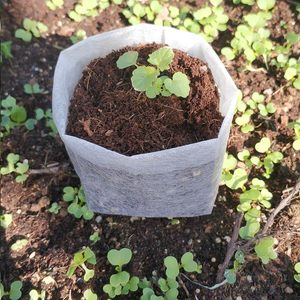 Sacs <span class=keywords><strong>de</strong></span> semis écologiques biodégradables non tissés blancs pour pépinière, serre et jardinage - Vente en gros OEM/ODM - Product Image 3