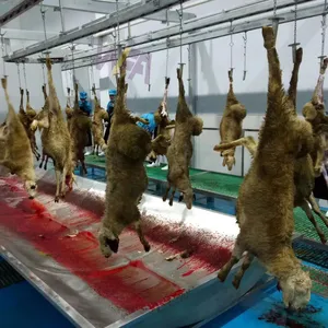 Halal Slaughter House Line Lamb Slaughtering With Mutton Meat Processing For Sheep Abattoir