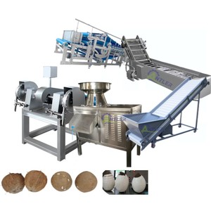 Ticari komple kurutulmuş hindistan cevizi üretim hattı hindistan cevizi cips işleme makinesi hindistan cevizi bombardımanı soyma makinesi - Product Image 6