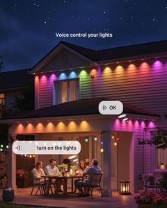 Hot Sale 0.96W 12V Outdoor Permanent Lights RGBW LED Pixel Christmas Lights Ucs2904 IP68 Indoor or Outdoor Waterproof - Product Image 3