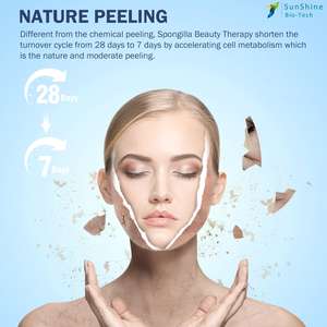 SQT Spongilla Spicule sünger iğne özü için kullanılan cilt yenileme etkili anti-akne tatlı su sünger tozu - Product Image 5