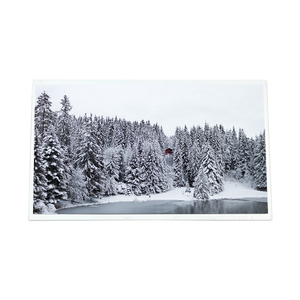 C120HAT01.3 Écran LCD économique de 12,0 pouces 1920*860 175PPI - Product Image 1