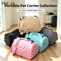 Sac de transport pliable Petora en EVA avec trous et motif patte en relief, sac de voyage portable pour petits chats et chiots, idéal pour les promenades en extérieur