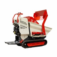 Mini-Raupenlader mit 500kg-1200kg Tragfähigkeit, Neuer Hydraulischer Benzin-Kipplader mit Pumpenmotor für Städtische Nutzung