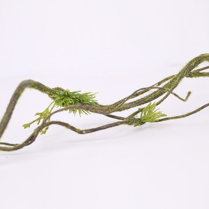 <span class=keywords><strong>Liane</strong></span> artificielle flexible en rotin pour reptiles, <span class=keywords><strong>plante</strong></span> grimpante, décoration de jardin extérieur, <span class=keywords><strong>liane</strong></span> de mousse pour Noël et remise des diplômes - Product Image 2