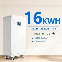 Batería de Litio LiFePO4 de 51.2V 100/200/300Ah con Sistema Inteligente de Comunicación CAN, Híbrida, de Montaje en Pared, IP54 T30 Xdbattery