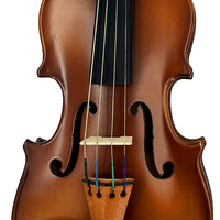 Violon professionnel avancé fait à la main, instrument cordage, marque chinoise, 4/4 44, 1 pièce