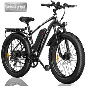 Magazzino europeo/USA A8 ciclomotore Mountain E-Bike 750W 48 v15a batteria al litio Shimano Derailleur CE/UL2894 elettrico City Bike - Product Image 1