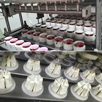 Machine linéaire automatique d'emballage de remplissage scellage de yaourt de tasse en plastique de litchi de crème glacée de gelée de jus d'eau