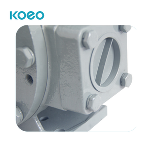 <span class=keywords><strong>LPG</strong></span> Transfer yüksek akış sıvılaştırılmış 2000 pompa için LYB petrol gazı sürgülü kanatlı pompa - Product Image 5