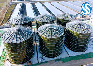 Réservoir en acier inoxydable enduit d'émail WS pour boire/magasin d'<span class=keywords><strong>eau</strong></span> <span class=keywords><strong>potable</strong></span>/Dimension/couleur personnalisable à 18 mètres cubes - Product Image 2