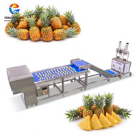 Ananas-snijlijn 500-1000kg/u, inclusief ponsen, ontpitten, splitsen, sorteren en snijden voor fruitfabrieken