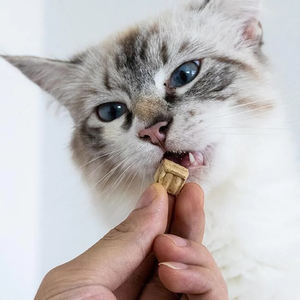 OEM ODM Vente en gros d'aliments pour animaux <span class=keywords><strong>de</strong></span> compagnie Emballage personnalisé 100% naturel <span class=keywords><strong>Foie</strong></span> <span class=keywords><strong>de</strong></span> <span class=keywords><strong>canard</strong></span> lyophilisé en dés Collations pour chats et chiens - Product Image 3