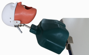 Best Sell <strong>Dental</strong> Model <strong>Dental</strong> <strong>Simulation</strong> <strong>Unit</strong> Manikin Phantom Head <strong>Dental</strong> Phantom - Product Image 5