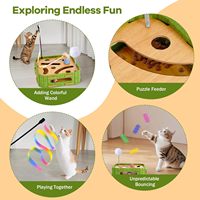 Jouet de labyrinthe en bois écologique et durable pour chats d'intérieur - Soulagement de l'ennui et enrichissement interactif