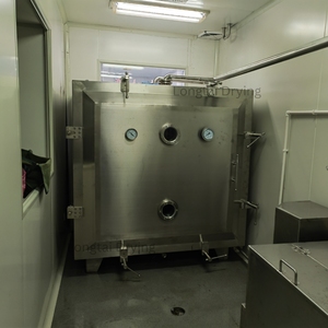 Secador al Vacío Cuadrado, Estático, Industrial, de Baja Temperatura, para Leche en Polvo, Jugo, Gránulos, Proteínas, Aditivos Alimentarios FZG-20 - Product Image 6