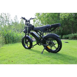 Bicicleta Eléctrica Vintage de 250w de Largo Alcance con Doble Asiento, Ebike 15ah, E-Dirt Bike V20pro, E-Bike V20pro V10 Gaurd 2024 Yozma Varg Sample - Product Image 2