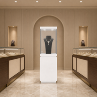 Vitrine de présentation pour bijouterie, cadre métallique sur mesure, base en bois, verre trempé, vitrine LED, équipement de vente en gros