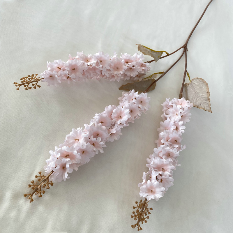 Jacinthe d'eau à trois branches