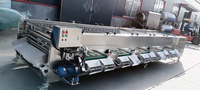 Lonkia Automatische Wortelaardappelsorteermaat En Reinigingsmachine \ Wortelwasmachines \ Wortelsorteermachine