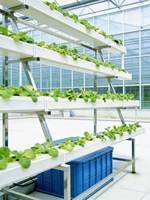 Système hydroponique NFT pour la culture de légumes sans terre, équipement d'irrigation agricole à base de tuyaux haute rigidité