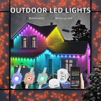 Guirlandes lumineuses LED à pixels 24V étanches IP67 pour extérieur, dimmables, pour installation permanente dans les paysages