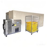 Hoge Kwaliteit 3-30P Fruit- en Groente Droogmachine Mango Droger Ananas Droger Ruimte Baobab Fruit Dehydrator Voedselverwerking CE