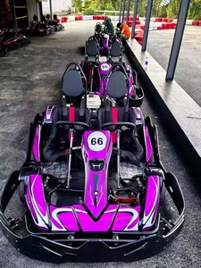<span class=keywords><strong>Kart</strong></span> de course pour adultes à 2 places, 200cc/270cc, <span class=keywords><strong>prix</strong></span> bas, dernier modèle, prêt à l'emploi, pour la location - Product Image 1