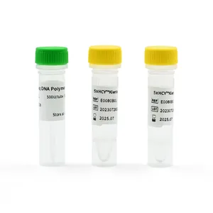 High Efficient PCR Kit Reagent For PCR Detection Taq Polymerase HCY Taq DNA Polymerase Hot Products