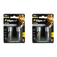 Pile alcaline AA 1,5 Volt haute performance, idéale pour les manettes de console et les jouets