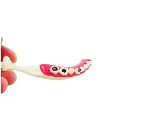 Modèle de soins <span class=keywords><strong>infirmiers</strong></span> dentaires et modèles de soins dentaires de haute qualité et au meilleur prix - Product Image 4