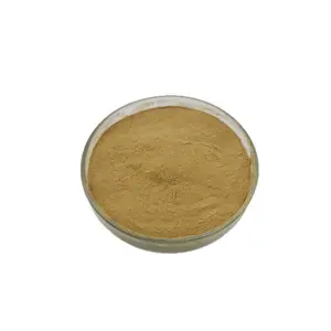 Natural Supplement 10:1 20:1 Yucca Schidigera Extract Powder