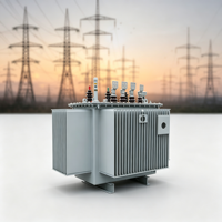 Transformateur de distribution de puissance immergé dans l'huile Taishun S11 à usage agricole, 2500-4000 kVA, 50/60 Hz, triphasé, 6,6 kV-10 kV