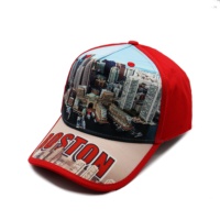 Trendy Nieuwe Custom Logo Baseball Caps Gebogen 100% Polyester Alle Sublimatie Bedrukte Hoeden Luipaard Fruit Usa City Collectie