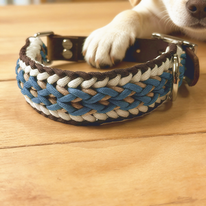 Collare per Cani Martingale Personalizzato di Lusso, Regolabile e Resistente, Ideale per Passeggiate e Jogging - Product Image 3