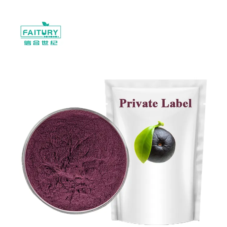 Faitury Fornecimento Private Label Açaí Berry liofilizado em pó