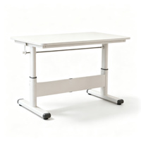 Mitwachsender Schreibtisch für Kinder und Erwachsene mit Kurbel-Höhenverstellung, 8x4cm Stahlrahmen Computertisch 100/120/140cm, Schreibtisch für Home Office