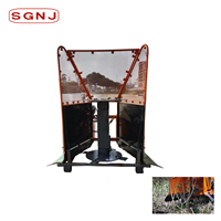 Nouveaux outils de récolte de manioc 2023 Machine de découpe de tige de manioc Coupeur de tige de manioc pour une utilisation avant la récolte