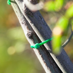 Attaches discrètes <span class=keywords><strong>pour</strong></span> plantes vertes naturelles - Soutien sans couture <span class=keywords><strong>pour</strong></span> les lierre <span class=keywords><strong>grimpant</strong></span>, les roses et les haies - Product Image 4