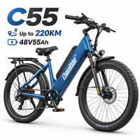 Vélo électrique Chamrider à enjambement bas, couple élevé, 48V 55Ah, pneus larges 26x3.0, 80Nm, frein hydraulique 203mm, vélo cargo pour livraison C 55