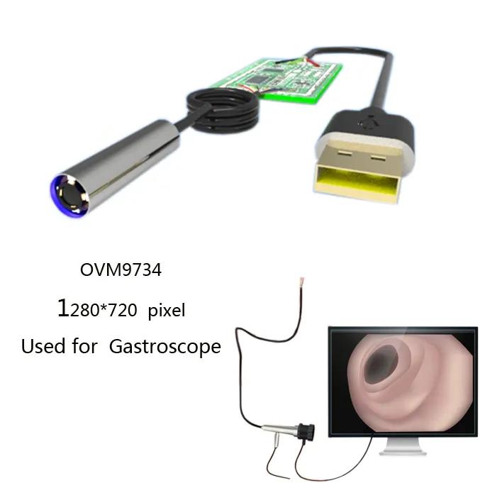Caméra d'inspection de module de caméra d'endoscope médical USB 720p 3mm 3.9mm
