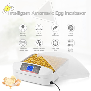 Mini incubateur d'œufs de poulet automatique yz 56s, 4 pièces, lumière LED à haute fréquence d'éclosion - Product Image 4