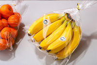 Sacs de conservation réutilisables en LDPE écologiques et adaptés aux aliments, avec valve et impression offset, pour l'emballage de pizzas, de jus et d'aliments pour animaux de compagnie