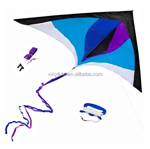 Легкий Летающий индивидуальный полиэстер рекламный Дельта мультяшный змей для детей