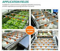 Automatische groentewasinstallatie met vortextechnologie, industriële oplossing voor het reinigen van fruit en groenten, te koop.