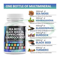 VitaSpring Marque privée Supplément Halal Curcuma Bardane Gingembre 3000mg Huile de graines noires 2000mg Capsules Ashwagandha Mousse de mer