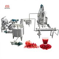 Gelgoog Granaatappel Extract Sapmachine Granaatappelkorrels Saplijn Granaatappelmolasses Maakmachine